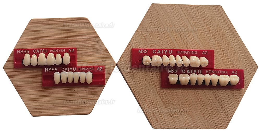 Prothèses dentaires en résine Caiyu Hongying (trois couches de couleur) A1/A2/A3/A3.5/A4